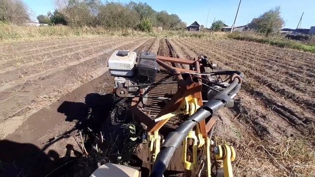 транспортёрная картофеле копалка урожай 2024 смотреть онлайн