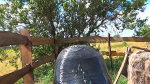 Короткий лук с силой натяжения 90 - 110 фунтов