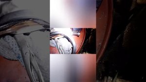 Замена сальника бортовой на Погрузчик фронтальный Shant