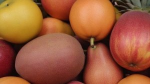 Описание и характеристика сорта огурцов Изящный посадка и уход - Овощи