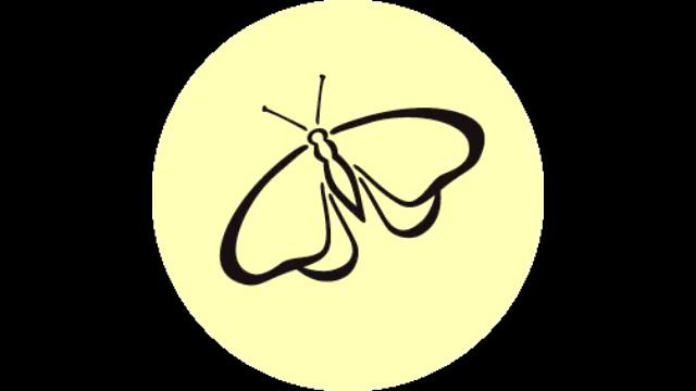 12. ПРИНЦИПЫ ДИЗАЙНА ПЕРМАКУЛЬТУРЫ