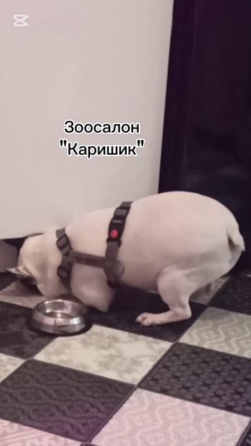 Очень занята