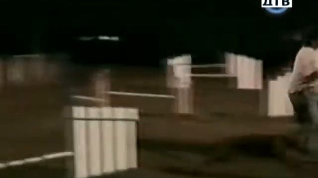 Приколы из жизни смотреть приколисты онлайн смотреть онлайн