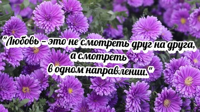 10 позитивных цитат на тему любви — тёплых, вдохновляющих и с лёгкой поэтичностью: