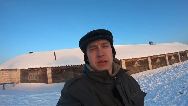 COWBOY BLOG. Заездка забайкальской лошади. Ремонт МТЗ. Купил сено на весну!