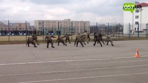 Президент посмотрел за задержание "преступников" и пообщался с патрульными полицейскими