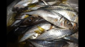 Что можно купить в Турции на 100 лир или 16 евро Продукты цены