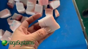 Автоматический укладчик продуктов Vega Product Stacker H500