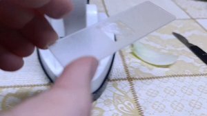 Кожица лука под микроскопом!