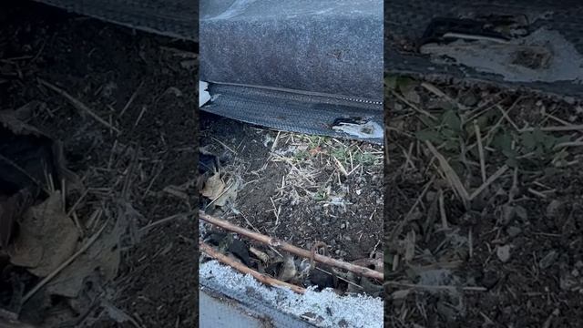 27 марта 2025 г. смотреть онлайн