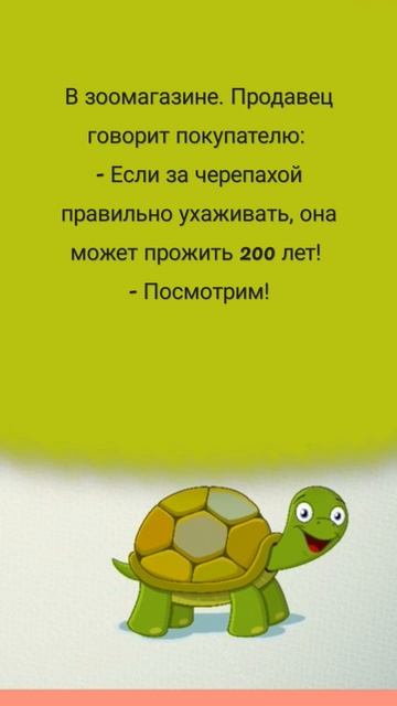 Посмотрим 🐢🧐😄 #анекдоты #юмор #shorts смотреть онлайн