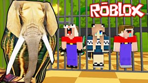 2 НУБА И ДЕВУШКА ПРО ПОПАЛИ В ТЮРЬМУ ЛИРИЛИ ЛАРИЛА БАРРИ В РОБЛОКС ! ПОБЕГ ИЗ ТЮРЬМЫ ROBLOX