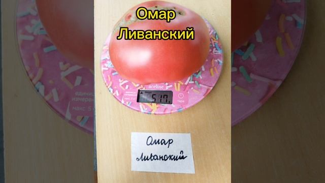 Каталог 2024.Коллекционные сорта томатов.Часть 2. смотреть онлайн