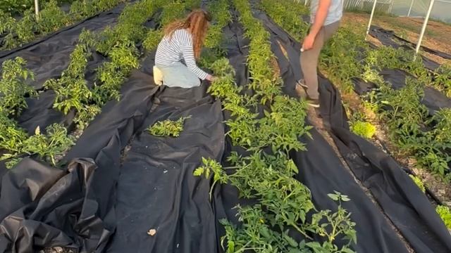 Девочки я так устала сегодня только сейчас дошла до по смотреть онлайн