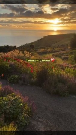Әсәкәйем минең, берҙән-берем!