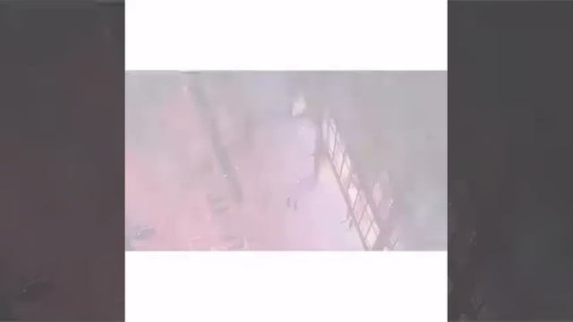 Tokyo ghoul. Токийский гуль смотреть онлайн