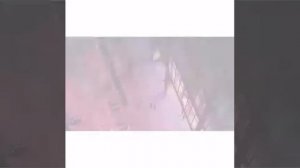 Tokyo ghoul. Токийский гуль