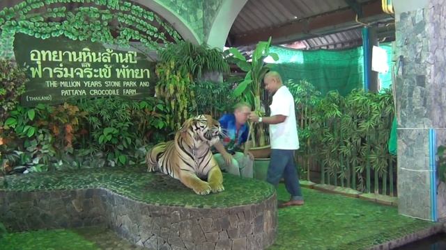 Прикольный тигр смотреть онлайн