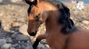 Лошади шляйх Сериал 💞_неожиданная любовь_💞 5 серия