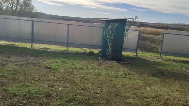 Восстанавливаем дачу ( ЧАСТЬ 95 )/Пропадает урожай чесн? смотреть онлайн