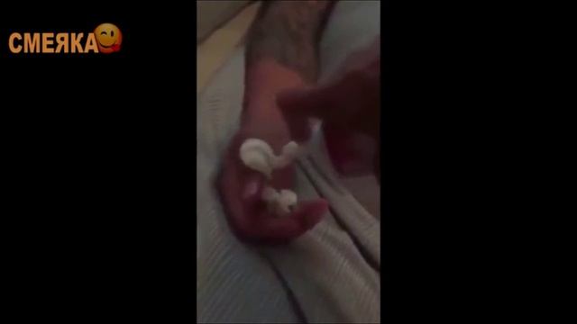 Смотреть всем приколы 4