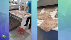 Автоматический тендерайзер Vega Meat Ten H800 для отбивания мяса