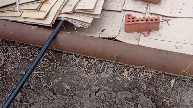 23 июня. Вот и высадила я свои саженцы винограда. смотреть онлайн