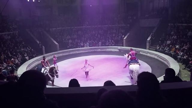 Прекрасные лошади и бравые наездники смотреть онлайн