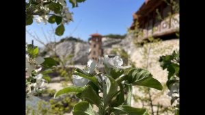 27 апреля 2025 года.