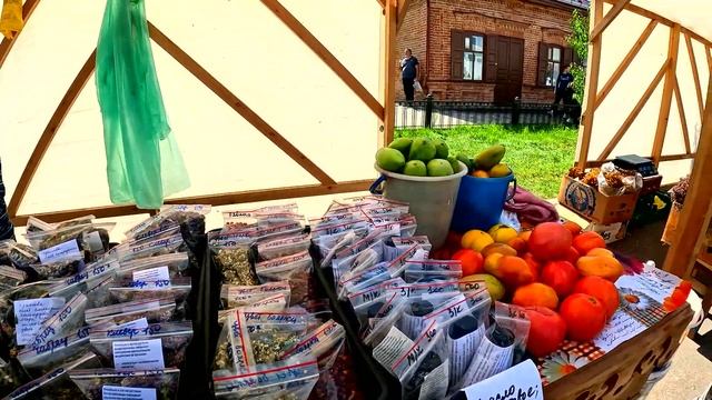 Раскрываем секреты Минусинского фестиваля помидоров смотреть онлайн