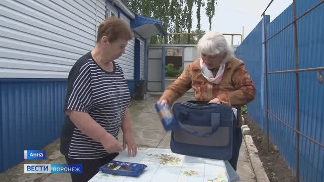 Почтальон из Воронежской области Тамара Коновальчук во всероссийском конкурсе «Народный почтальон»