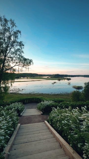 Совет смотреть онлайн