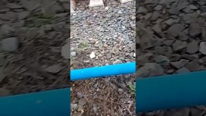 Теггинг на Ж/Д и заброшенных зданиях.