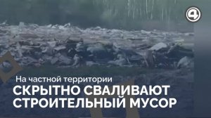 Жители посёлка Шабровский борются с нелегальной свалкой в лесу