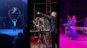 Волжск! Цирк шапито Circusland