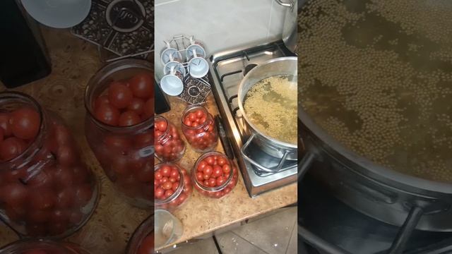 МАРИНОВАНІ ТОМАТИ ЧЕРРІ БЕЗ СТЕРИЛІЗАЦІЇ З ГІРЧИЦЕЮ І смотреть онлайн