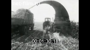 1981г. колхоз имени Куйбышева Курганская обл.