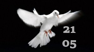 21.05.2025 - Прямая трансляция ст.Елизаветинская