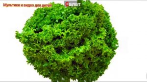Учим фрукты и овощи с малышами на русском языке #5/ развитие речи для детей/ развивающий мультфильм