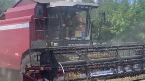 Настоящий гигант! Комбайн ПОЛЕСЬЕ GS12 молотит нам ячме?