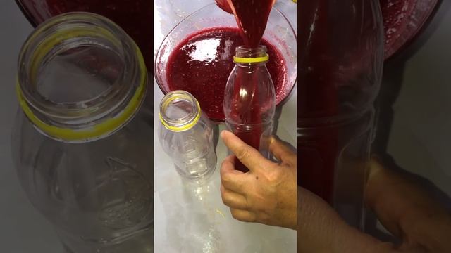 Свежая ,витаминная МАЛИНА КРУГЛЫЙ ГОД !