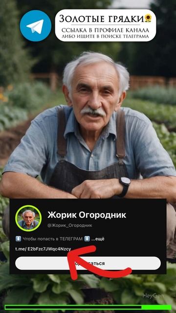 Обрезка носиков у семян перца: ускоряем всходы #садово