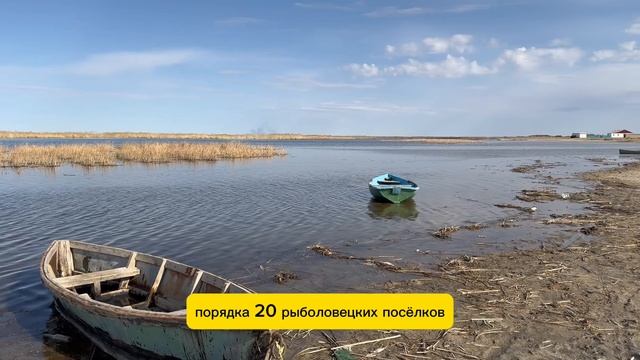 🌵Как мы преодолели 70 километров пустыни, где высажив? смотреть онлайн