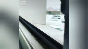 Алёнка убийца или Киборг убийца