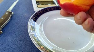 Персиковий конвеєр. Нектарин СТАРК РЕД ГОЛД- краще не ?