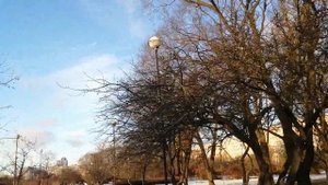 В Яблоневый сад на ул. Белградской, СПб