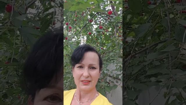 Українська з Наталкою....походження слова "вишня".... смотреть онлайн