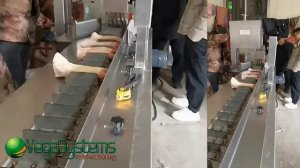 Ленточная пила Vega Msaw H370A для нарезки свиных ног