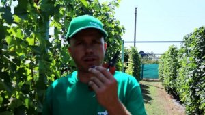 #131-2 (фільм 2 з 2) В гостях у Дмитра та Альони Ткаченко (28.0