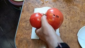 Томат минусинский властелин